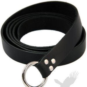 ROULANDS LIMITED 1A1310 Replacement Belt 