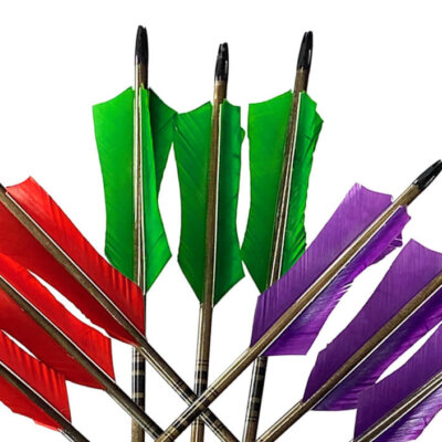 Ranger Arrows - 1 Dozen