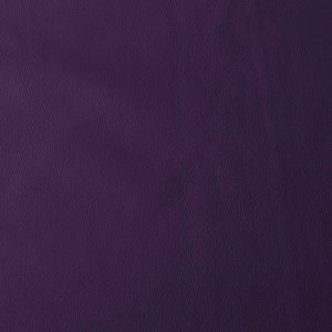 8169 Purple (+15%)