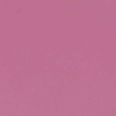Pink Latigo (+10%)