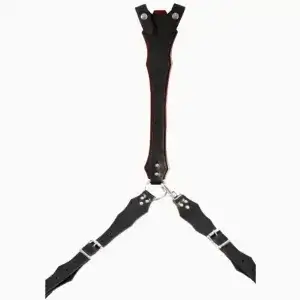 Three Point Harness2